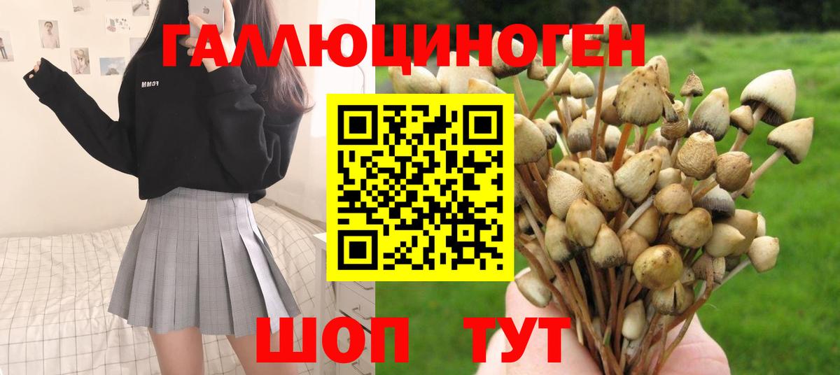 Воронеж  Псилоцибиновые грибы Cubensis  Вход с VPN 